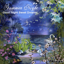 Summer Night Good Night GIF - Summer Night Good Night Sweet Dreams GIFs