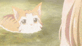 a cat is swimming in the water and looking at a woman