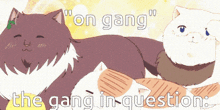 Hetalia Cat GIF - Hetalia Cat On Gang GIFs