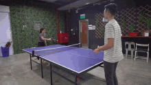 ping pong table tennis sports playing game