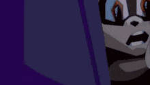 a cartoon raccoon is standing in a doorway with a surprised look on its face .