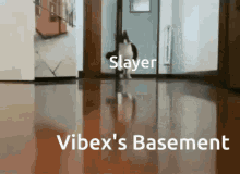 Vibex Basement GIF - Vibex Basement Slayer GIFs