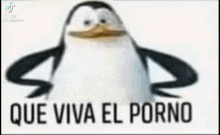 Que Viva El Porno GIF - Que Viva El Porno GIFs