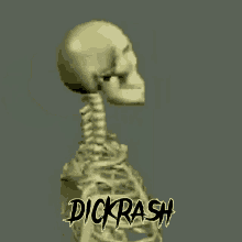 Dickrash GIF - Dickrash GIFs