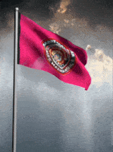 a pink flag flying in the wind with the words happy for sonic machinery on it