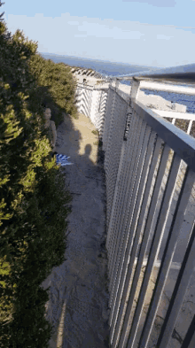 a fence along a path leading to the ocean with a shadow of a person behind it