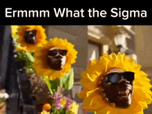 What The Sigma Erm GIF