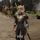 a man in armor holding a sword with the word yay written below him