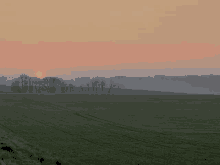 Sunset Land Green Sky GIF