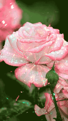 Glittering Pink Flowe Pink Rose Glittering GIF - Glittering Pink Flowe Pink Rose Glittering Glittering Flower GIFs