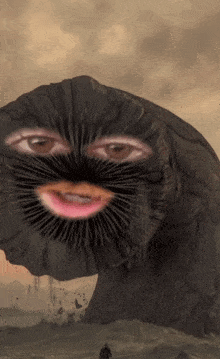 GIF
