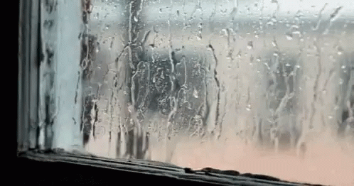 Rainy Window
