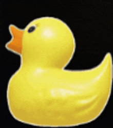 Rotating Duck Rubber Duck GIF - Rotating Duck Rubber Duck Spinning GIFs