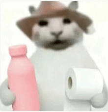 a cat wearing a cowboy hat is holding a roll of toilet paper and a bottle .