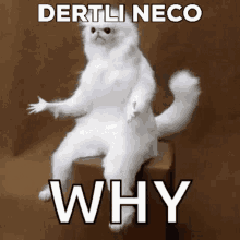 Neco Dertli GIF - Neco Dertli Dertli Neco GIFs