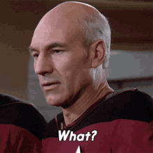 What Jean Luc Picard GIF - What Jean Luc Picard Star Trek GIFs