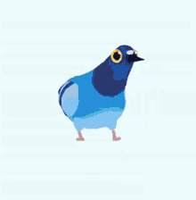 pigeon dance