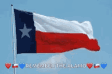 flag texas