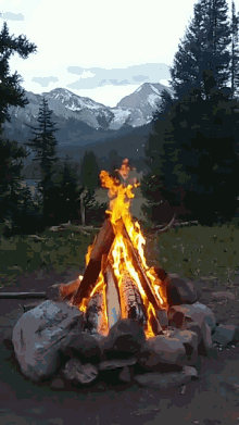 Campfire GIF - Campfire GIFs