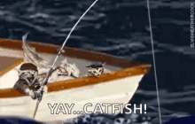 Cat Fishing GIF - Cat Fishing Yay GIFs