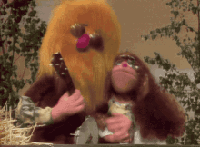 Muppet Show Muppets GIF - Muppet Show Muppets Jug Band GIFs