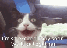 Excited Baby GIF - Excited Baby Together GIFs