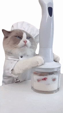 crushing the food puff meow chef that little puff mixing it all together