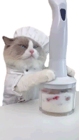Crushing The Food Puff Sticker - Crushing The Food Puff Meow Chef Stickers
