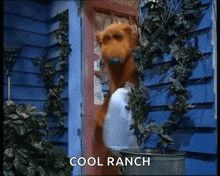 Bear In The Big Blue House Taking Out The Trash GIF - Bear In The Big Blue House Taking Out The Trash Chores GIFs