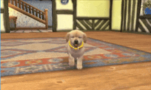 Nintendogs Puppy GIF - Nintendogs Puppy Walking GIFs