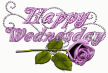 happy wednesday glitter purple rose sparkle