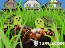 Turtlecoin Crypto GIF - Turtlecoin Crypto Turtles GIFs