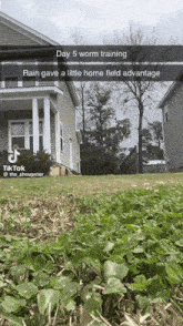 a picture of a house with the caption day 5 worm training