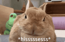 Hissss Angry Bunny Pixypou GIF - Hissss Angry Bunny Pixypou GIFs