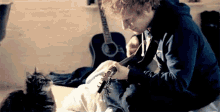 Cat Ed Sheeran GIF - Cat Ed Sheeran GIFs