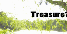 Treasure Pirate GIF - Treasure Pirate GIFs