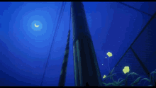 a crescent moon is visible in the night sky above a fence