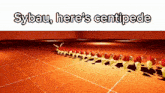 a picture of a centipede with the words sybau here 's centipede on the bottom