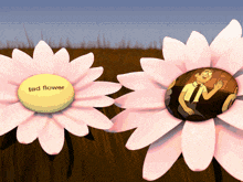 a flower with a yellow center that says tad flower on it