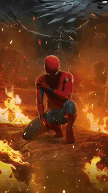 220px x 391px - Spider Man Homecoming GIFs | Tenor