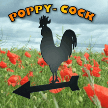 Poppycock Poppy-cock GIF