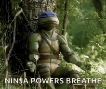ninja leonardo