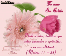 Bible Verse Flowers GIF - Bible Verse Flowers Te Amo GIFs