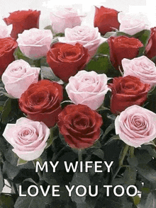 Roses Flowers GIF - Roses Flowers Plant GIFs