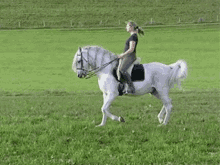 At White Horse GIF - At White Horse Grassland GIFs