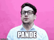 Pande GIF - Pande GIFs
