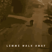 Tigerie Gray Bebo GIF - Tigerie Gray Bebo Walk Away GIFs