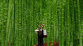 a minecraft character is standing in a bamboo forest