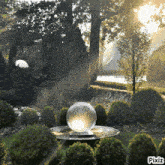 a picture of a garden with pixiz written on the bottom right