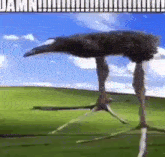 Damn Bird GIF - Damn Bird Legs GIFs